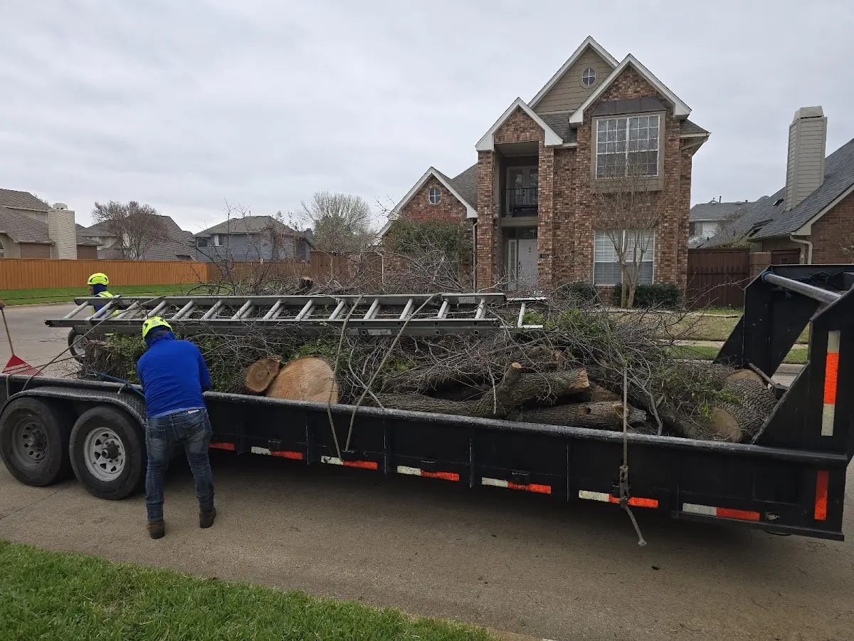 Expert Tree Fertilization with proper safety equipment in Francis